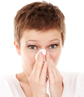 Gesetzliche Krankenversicherung